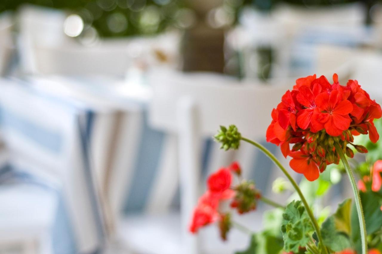 Hotel Rugantino Cesenatico Ngoại thất bức ảnh